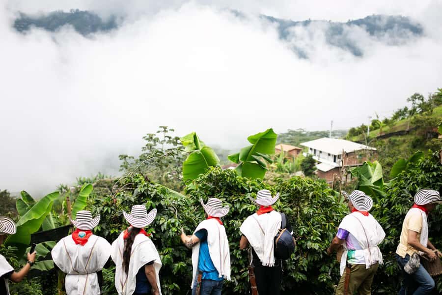 Medellin: Coffee Tour, Horseback Arrival, and Sugar Cane - Photo Time Near Guatapé: Color After the Countryside