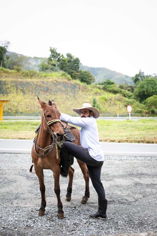 Medellin: Coffee Tour, Horseback Arrival, and Sugar Cane - Price and Value: What You Really Get for $76