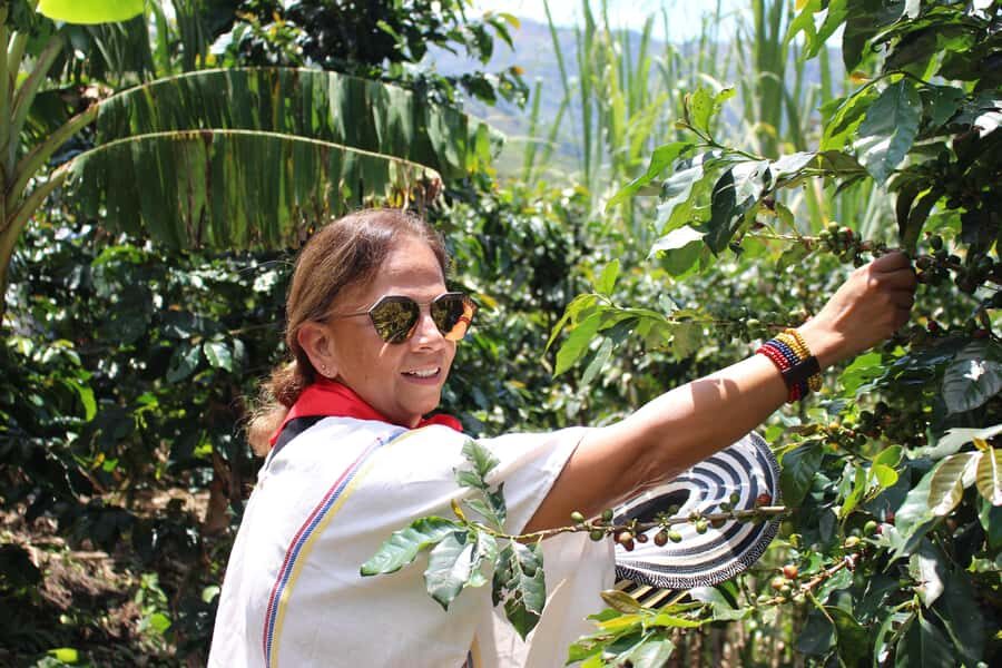 Medellin: Coffee Tour with Hotel Transfers and Meals - Key highlights at Finca La Arrinconada