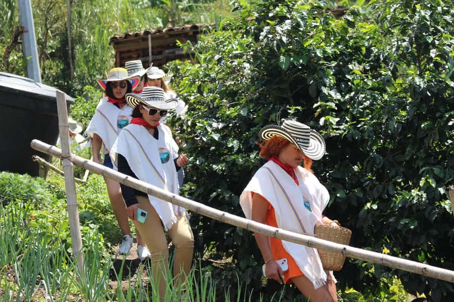 Medellin: Coffee Tour with Hotel Transfers and Meals - Medellín hotel transfers and a 9:00am start that makes sense