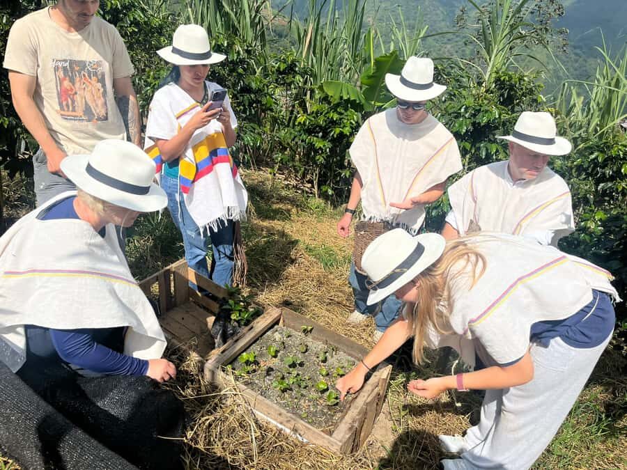 Medellin: Coffee Tour with Hotel Transfers and Meals - Arriving at Finca La Arrinconada: real farm energy, not a showroom