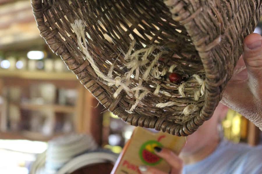 Medellin: Coffee Tour with Hotel Transfers and Meals - Lunch at the farm: fiambre paisa with mountain views