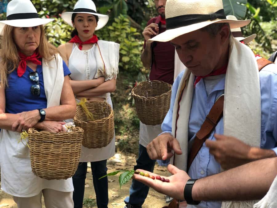 Medellin: Coffee Tour with Transport, Snacks and Tastings - Paisa snack and lunch: the food that makes the farm feel real