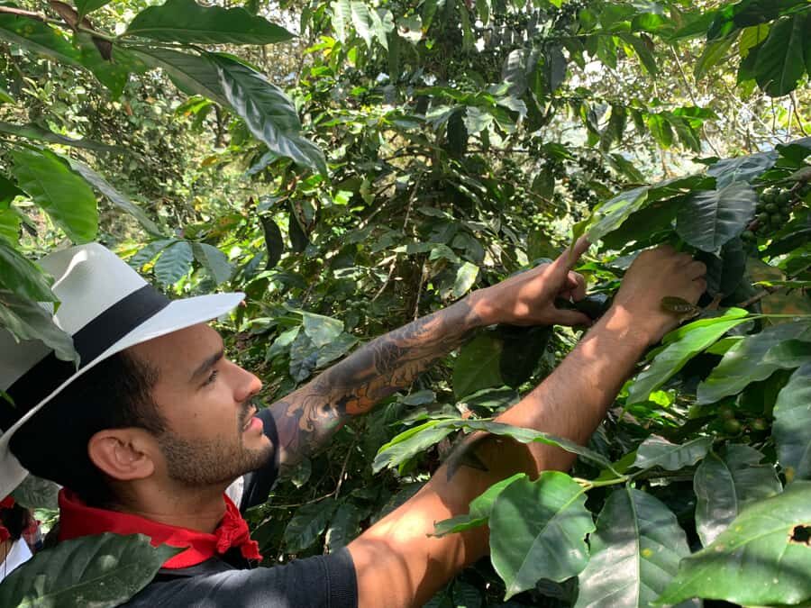 Medellin: Coffee Tour with Transport, Snacks and Tastings - The practical side: price, time, and what $80 buys you