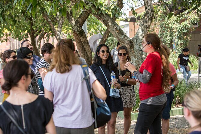Medellin Historic Walking Tour with Expert Guide - A walk that turns Medellín into a timeline