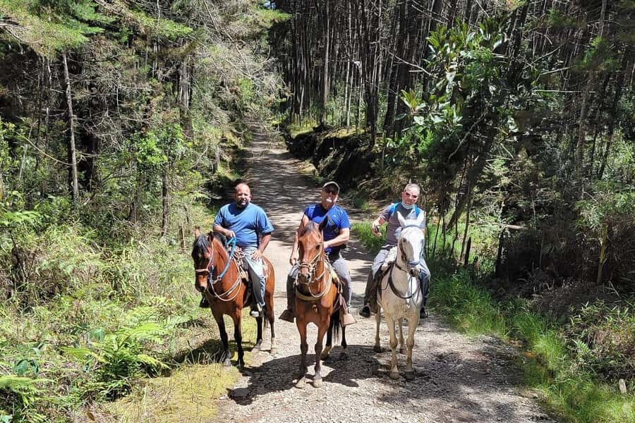 Medellin: Horseback Riding Coffee Farm Tour with Coffee Spa - Key highlights at a glance