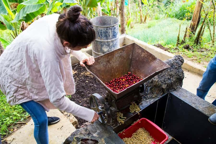Medellin: Horseback Riding Coffee Farm Tour with Coffee Spa - Price and value: does $150 deliver for a 5-hour day?