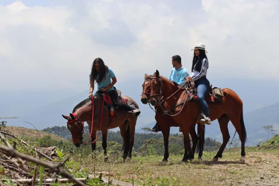 Medellin: Horseback Riding in the Medellin Mountains - Value Math: How $70 Maps to a 5-Hour Mountain Day