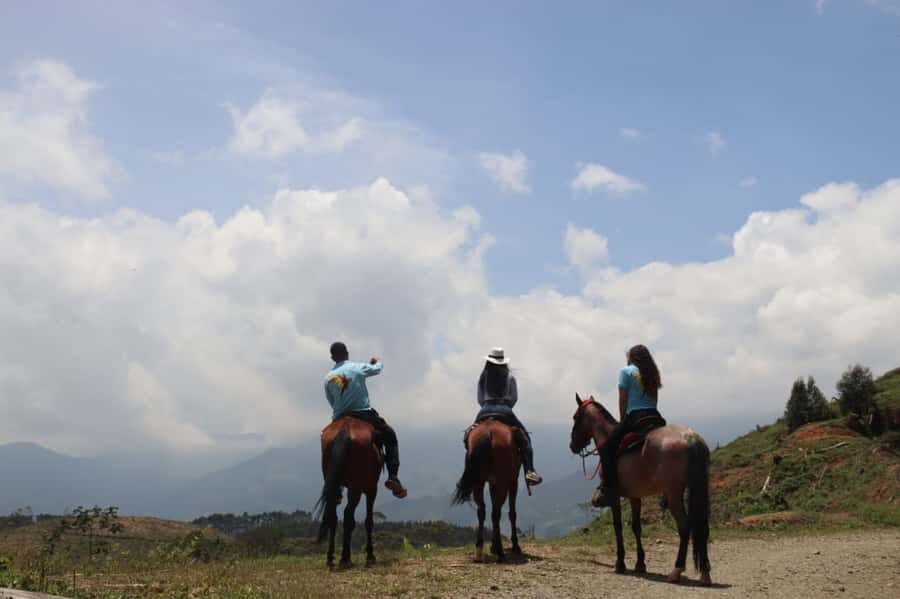 Medellin: Horseback Riding in the Medellin Mountains - Antioquia by Saddle: Why This Medellín Horse Ride Feels Different