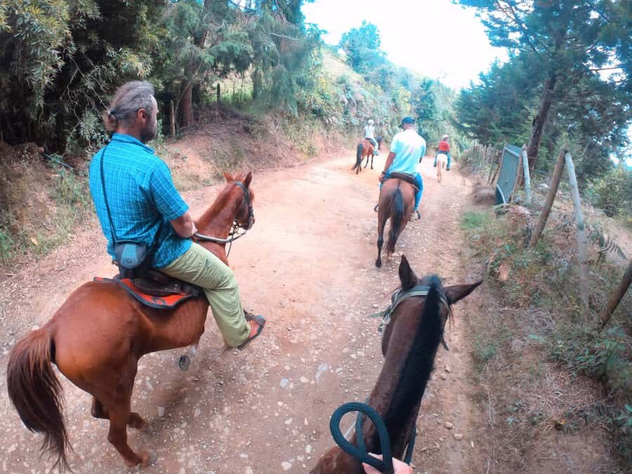 Medellin: Horseback Riding in the Medellin Mountains - Pickup, Meeting Point, and How to Plan for a Smooth Start
