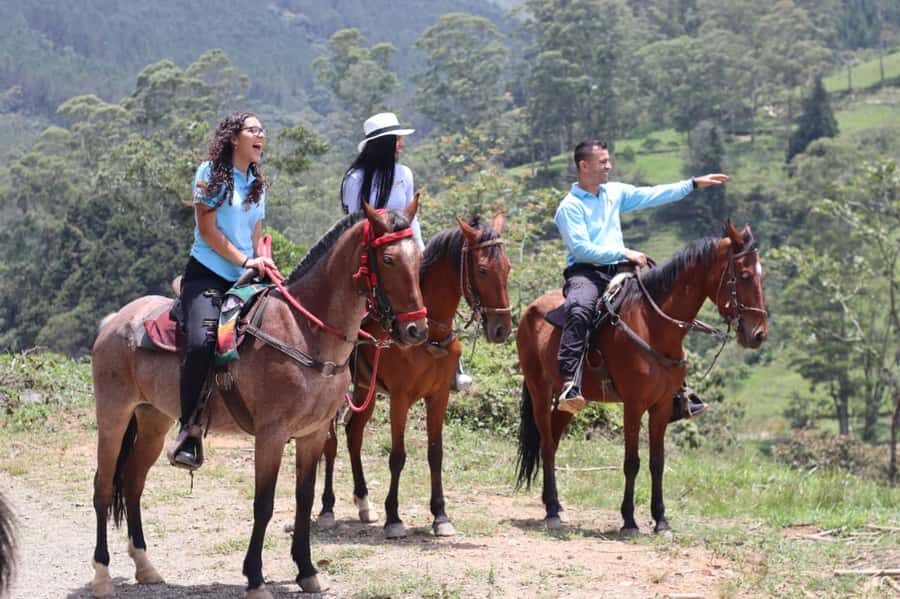 Medellin: Horseback Riding in the Medellin Mountains - Horses First: What the Riding Portion Actually Feels Like