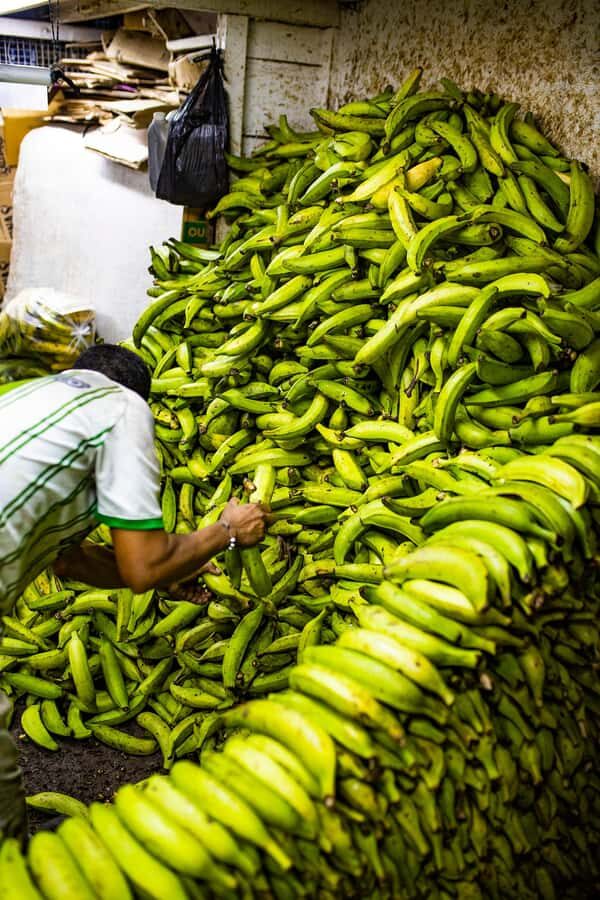 Medellín Multi-sensory Tour in the market, +15 Exotic Fruits - Your fruit feast: how 15–20 varieties turn into a real flavor education