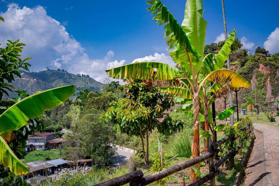 Medellín: Private Guatapé Tour w/ Breakfast, Lunch & Cruise - What to Bring (and Why Your Body Will Care)