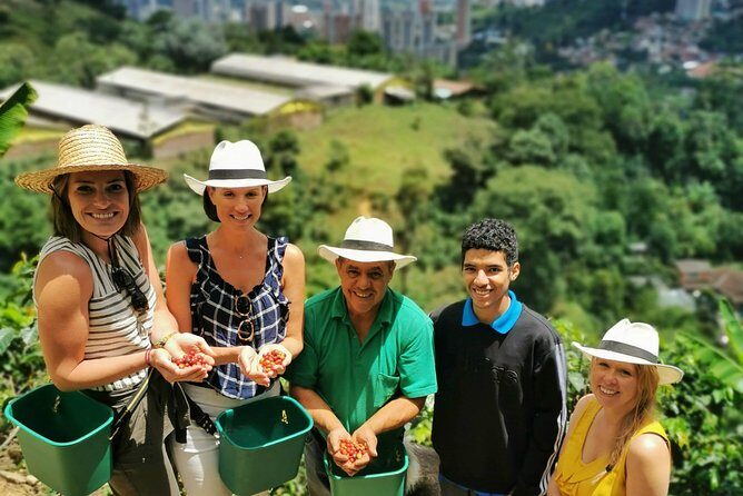 Private Coffee Farm Tour in Medellin: Real Authentic Experience - A real coffee farm morning in Medellín, not a coffee museum