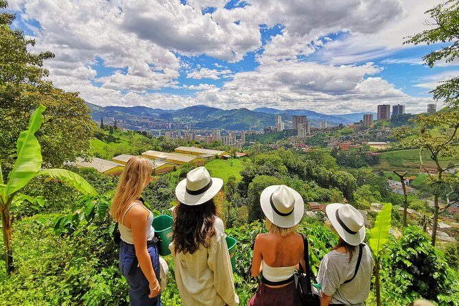 Private Coffee Farm Tour in Medellin: Real Authentic Experience - Price and what you actually get for $80