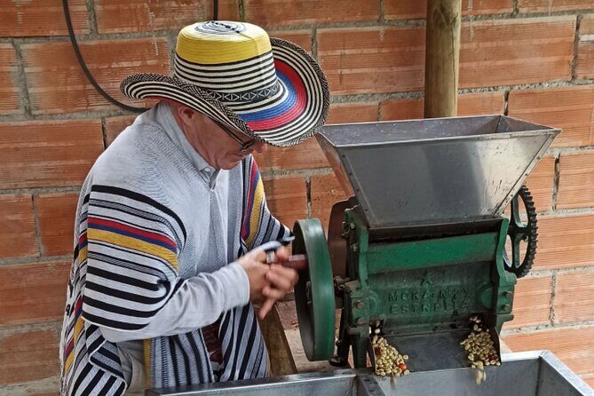 Private coffee tour near Medellín, from bean to cup. - Quick highlights before you go