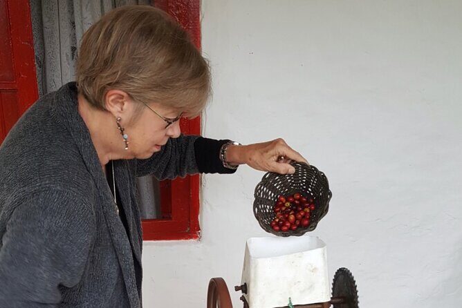 Private coffee tour near Medellín, from bean to cup. - Price and value: what $95 buys you in the real world
