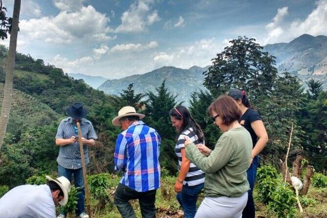 Private Half-Day Coffee Tour at Family Farm Close to Medellín! - Key Things That Make This Tour Worth It