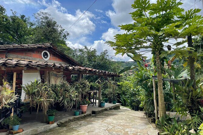 Private Half-Day Coffee Tour at Family Farm Close to Medellín! - Picking and Depulping: Where the Coffee Journey Really Starts