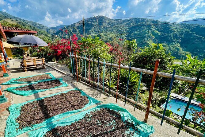 Private Villa with Pool, Coffee Farm and Santa Fe de Antioquia! - Who should book this, and who should skip it