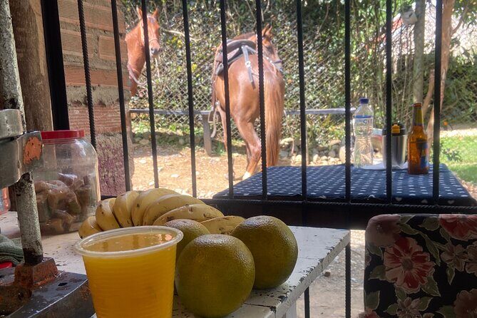 Scenic Horseback Riding in the Medellín Mountains - Comfort checklist: clothes, shoes, and saddle reality